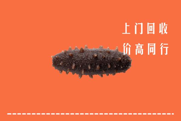 朔州市回收海参