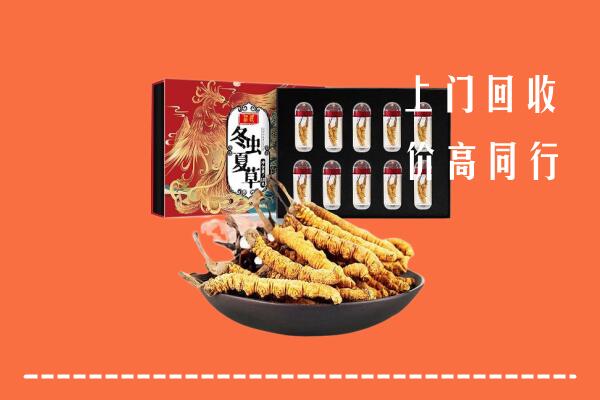 朔州市回收虫草